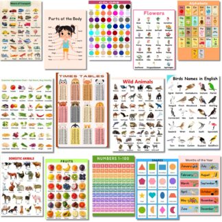 Set of 14 A3 Laminated Educational Posters for Kids – Waterproof Charts for Preschool & Nursery | Alphabet, Numbers, Shapes, Fruits, Animals & Mo
